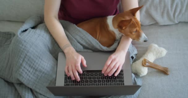 Mujer y perro en el sofá acogedor trabajo en el ordenador portátil — Vídeo de stock