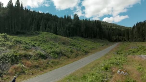 Cyclist ride up beautiful forest gravel road — Stock Video