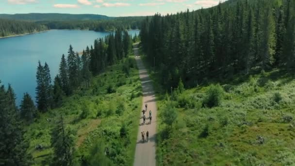 Los ciclistas suben por un hermoso camino de grava forestal — Vídeos de Stock