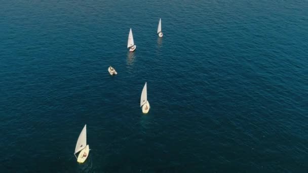Kis jacht hajók regatta sorban az olasz tó — Stock videók