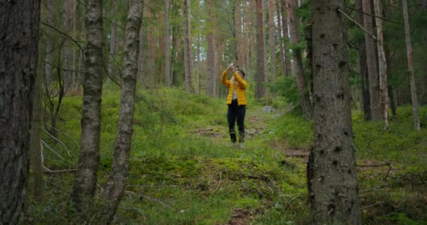 Молодая женщина в лесу делает фотографии или поисковый сигнал — стоковое видео