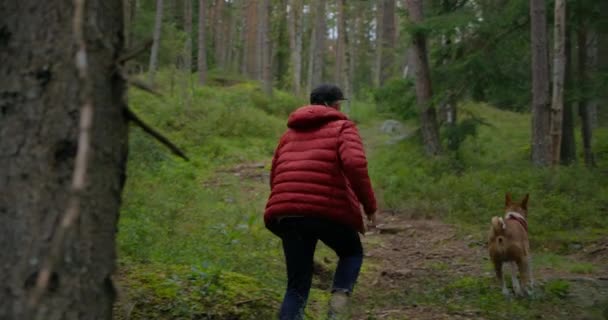 Mann und Haustier Basenji-Hund haben Spaß bei Waldspaziergang — Stockvideo