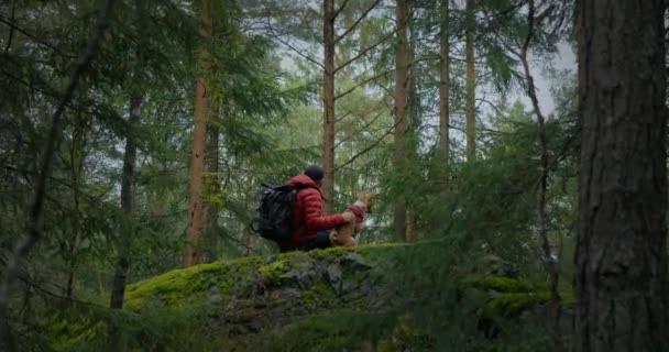 Mann auf Wanderung sitzt mit Hund auf Felsen — Stockvideo