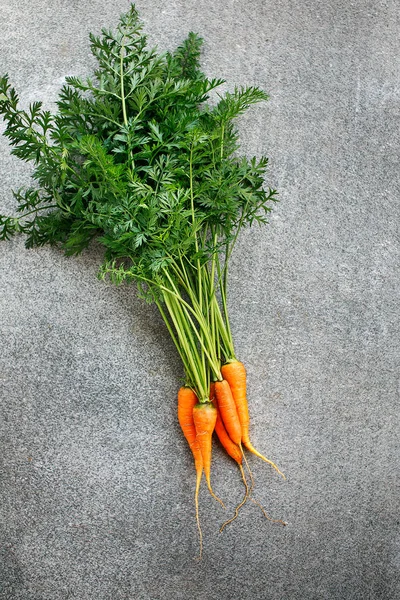 Carrots with tops on grey background