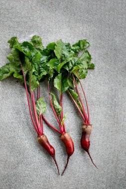 Pancar ile gri arka plan üzerinde en fazla