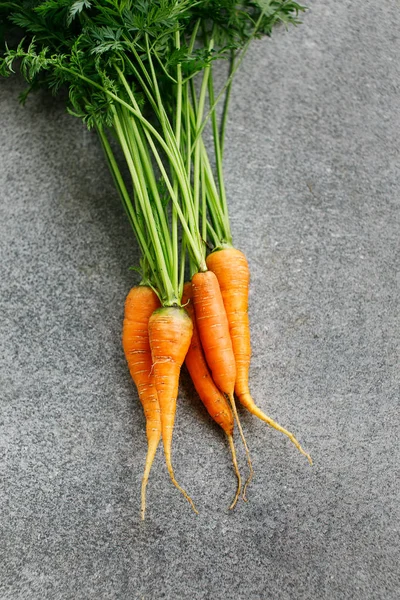 Carrots with tops on grey background