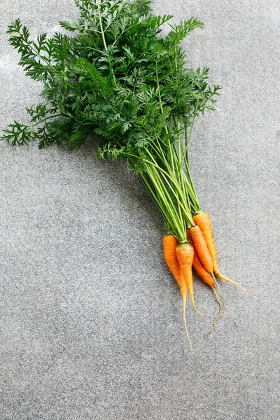 Carrots with tops on grey background