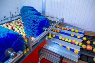 Modern otomatik robot cleanin üzerinde haddeleme taze olgun elma