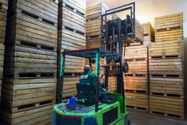 Elektrikli forkliftteki çalışan olgun elmaları soğutucusuz bir depolama kamerasının içine taşıyacak. Büyük bir deponun ürünlerini sınıflandırma, paketleme ve depolama tesisleri.