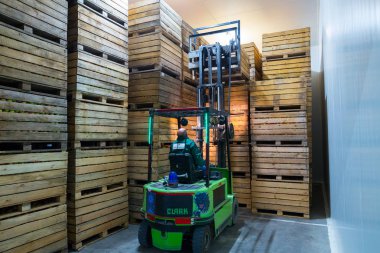 Elektrikli forkliftteki çalışan olgun elmaları soğutucusuz bir depolama kamerasının içine taşıyacak. Büyük bir deponun ürünlerini sınıflandırma, paketleme ve depolama tesisleri.