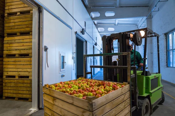 电动叉车上的员工将装有成熟苹果的容器放进了一个没有空气的冰箱里 大型仓库作物分级 包装和储存生产设施 — 图库照片