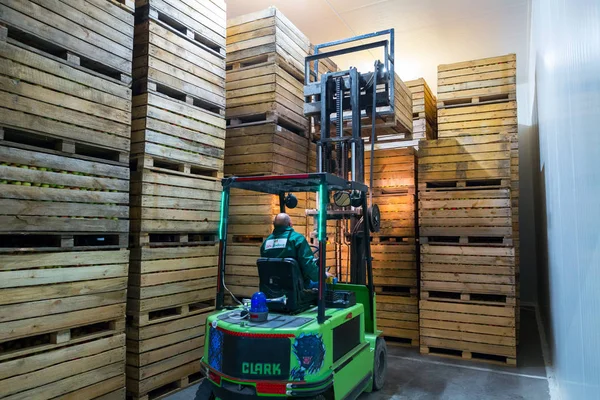 Medewerker Elektrische Vorkheftruck Draagt Container Met Rijpe Appels Naar Binnen — Stockfoto