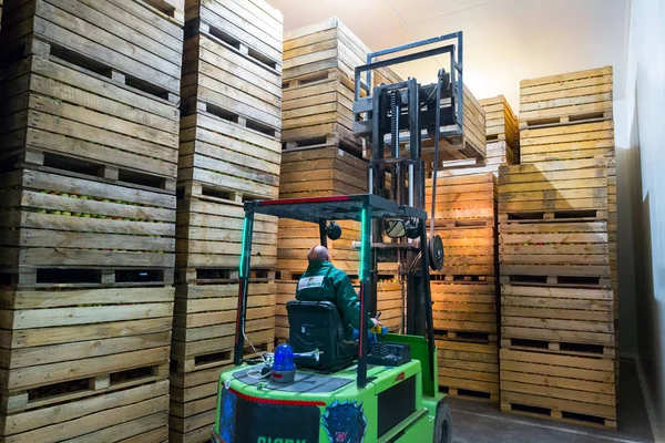 Medewerker Elektrische Vorkheftruck Draagt Container Met Rijpe Appels Naar Binnen — Stockfoto