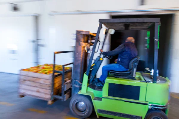 Employee Electric Forklift Carry Container Wiht Ripe Apples Fridge Airless — Stock Photo, Image