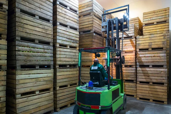 stock image The employee on the electric forklift carry the container wiht ripe apples to inside a fridge airless storage camera. Production facilities of grading, packing and storage of crops of large warehouse.