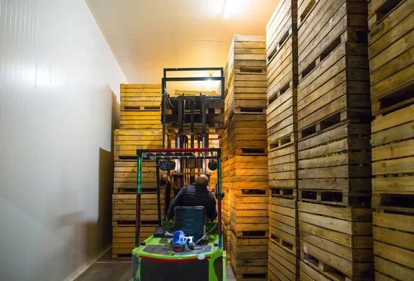 Medewerker Elektrische Vorkheftruck Draagt Container Met Rijpe Appels Naar Binnen — Stockfoto