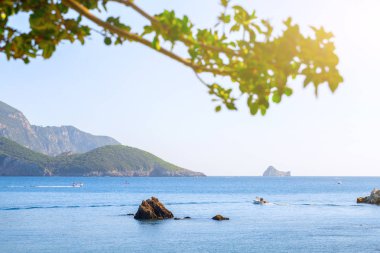 Güzel yaz panoramik deniz manzarası. Güneş ışığında berrak masmavi su ile defne deniz görünüme uçurumdan. Tekneler ve yatlar liman. Akdeniz, Avrupa'da bir yerde.