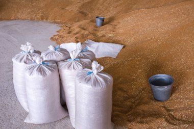 Pile of heaps of wheat grains and sacks at mill storage or grain elevator. clipart