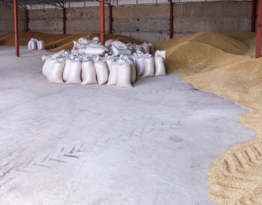 Pile of heaps of wheat grains and sacks at mill storage or grain elevator. clipart