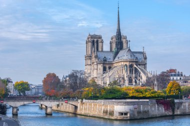 Katedrali Notre Dame de Paris güneşli sonbahar öğleden sonra. Seine Nehri çıkabilir. Yerliler ve turistler bir yürüyüşe ve sıcak havalarda rahatla. Bulanık, tanınmayan yüzler. Paris. Fransa.