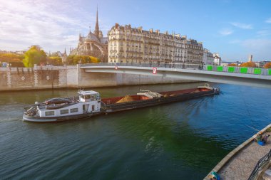 Notre Dame de Paris Katedrali, sonbahar öğleden sonra. Seine çıkabilir. Bir kargo turistler ve yerliler bir yürüyüş taşıyan mavna ve sıcak havalarda rahatla. Bulanık tanınmaz yüzler. Paris. Fransa
