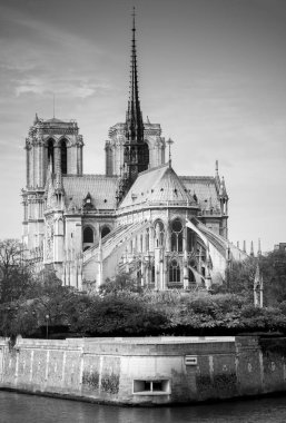 Katedrali Notre Dame de Paris güneşli sonbahar öğleden sonra. Seine çıkabilir. Yerliler ve turistler bir yürüyüşe ve sıcak havalarda rahatla. Bulanık tanınmaz yüzler. BW fotoğraf. Paris. Fransa.