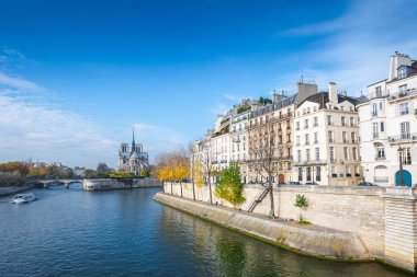 Katedrali Notre Dame de Paris güneşli sonbahar öğleden sonra. Seine Nehri çıkabilir. Yerliler ve turistler bir yürüyüşe ve sıcak havalarda rahatla. Bulanık, tanınmayan yüzler. Paris. Fransa.
