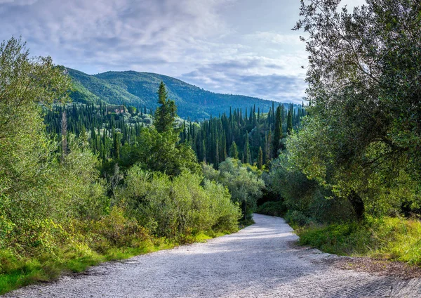 Krásné Letní Panoramatickou Krajinu Cypress Hills Zelené Horské Svahy Silnice — Stock fotografie