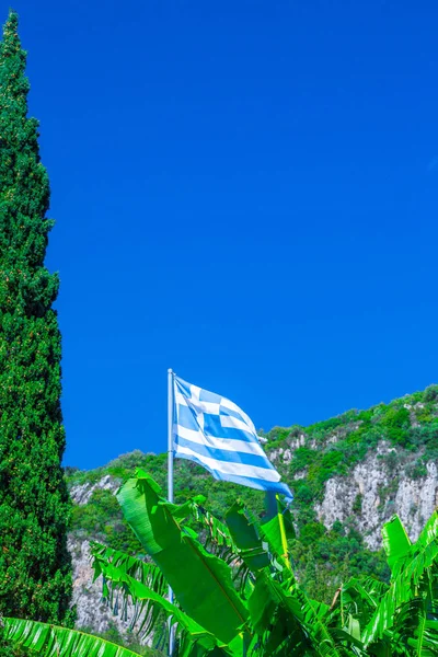 National Flag Greece Flagpole Bananas Leaf Cypress Tree Green Mountain — Stock Photo, Image