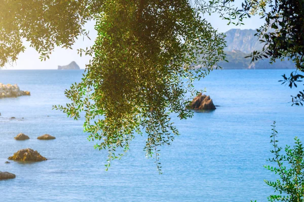 Bellissimo Paesaggio Marino Estivo Vista Sulla Baia Del Mare Con — Foto Stock