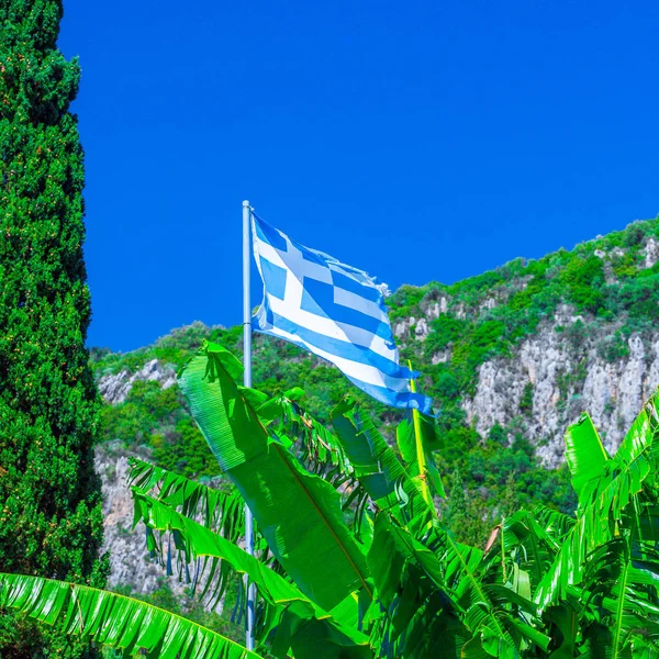 National Flag Greece Flagpole Bananas Leaf Cypress Tree Green Mountain — Stock Photo, Image