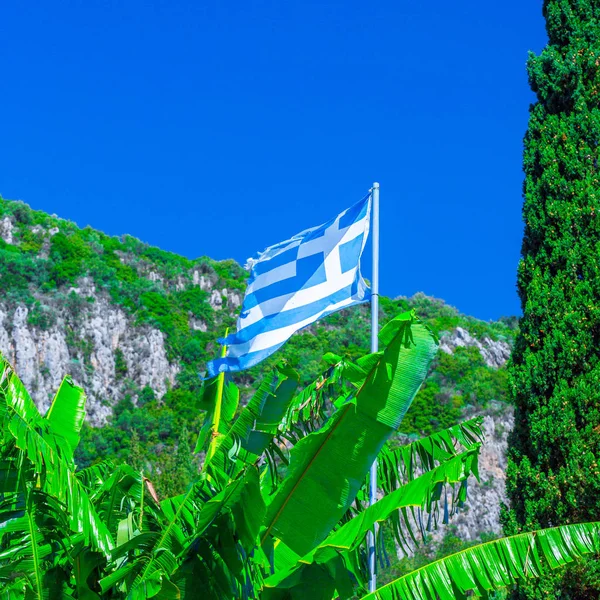 National Flag Greece Flagpole Bananas Leaf Cypress Tree Green Mountain — Stock Photo, Image