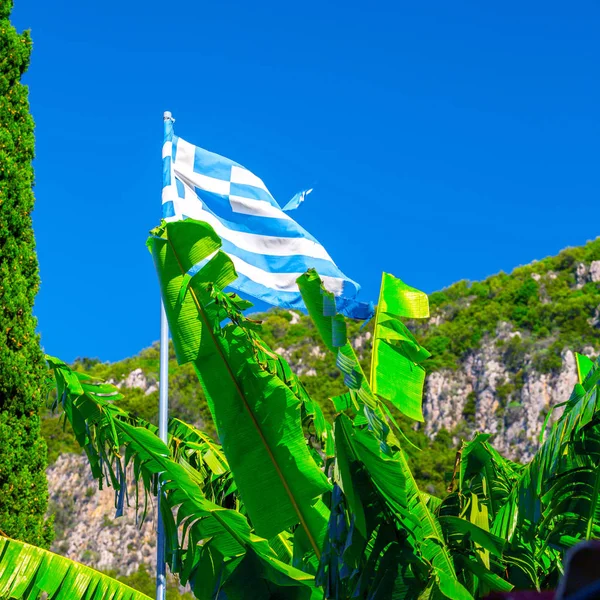 National Flag Greece Flagpole Bananas Leaf Cypress Tree Green Mountain — Stock Photo, Image