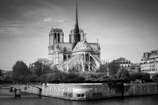 Cathedral Notre Dame Paris Sunny Autumn Afternoon Embankment Seine Natives — Stock Photo, Image