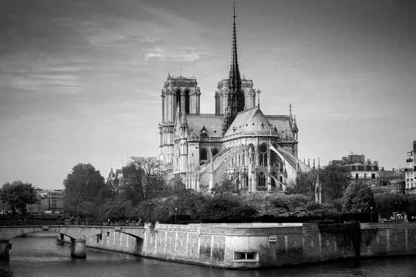 Catedral Notre Dame Paris Ensolarada Tarde Outono Embankment Seine Nativos — Fotografia de Stock