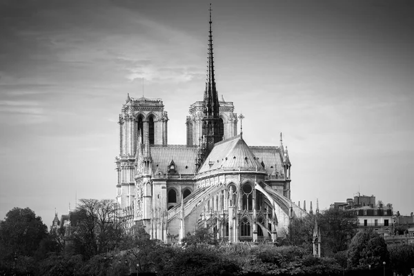 Katedrála Notre Dame Paris Slunečné Podzimní Odpoledne Fotografie Paříži Francie — Stock fotografie