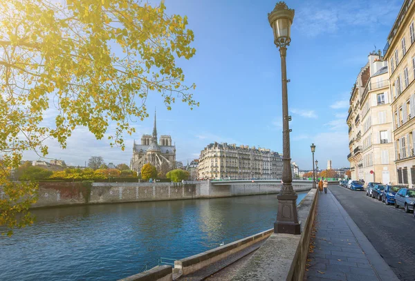 Catedral Notre Dame París Soleada Tarde Otoño Embankment Seine River —  Fotos de Stock