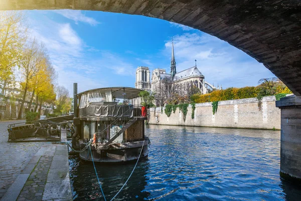 Cathedral Notre Dame Paris Sunny Autumn Afternoon Embankment Seine River — Stock Photo, Image