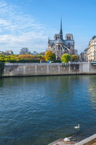 Katedrális Notre Dame Paris Napsütéses Őszi Délután Szajna Folyó Töltésén — Stock Fotó