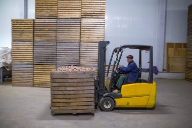 Patates deposu. Kuru serin depolama. P ile yığılmış ahşap kasalar