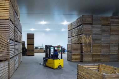 Patates deposu. Ekinler deposu. Kuru serin depolama. Yığılmış woo