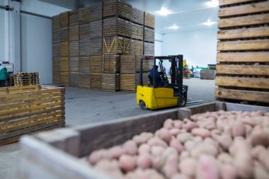 Patates deposu. Ekinler deposu. Kuru serin depolama. Yığılmış woo