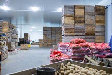 Patates deposu. Ekinler deposu. Kuru serin depolama. Seçilen ro