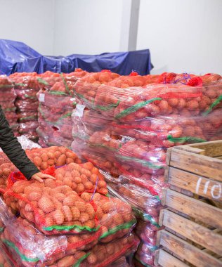 Patates deposu. Ekinler deposu. Kuru serin depolama. Seçilen ro