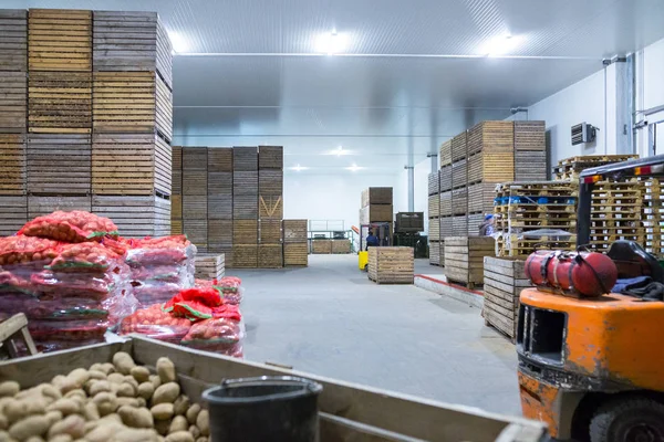 Potatoes storage. Crops warehouse. Dry cool storage. Selected ro — Stock Photo, Image