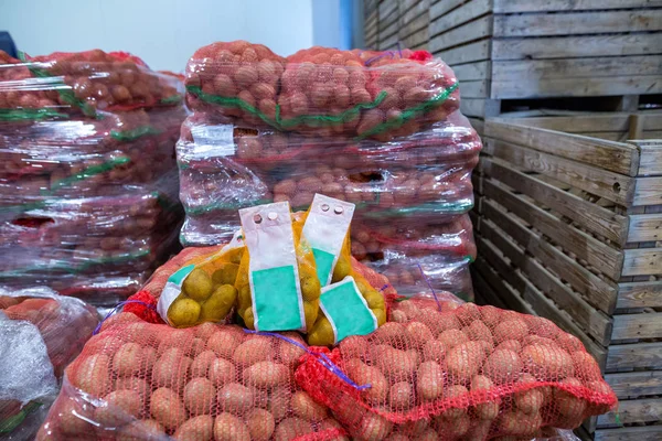 Potatoes storage. Crops warehouse. Dry cool storage. Selected ro — Stock Photo, Image