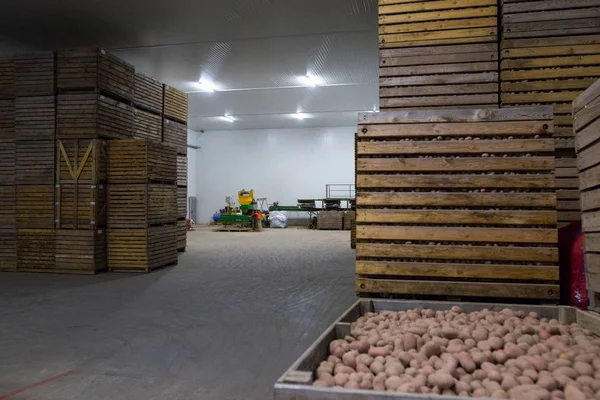 Stockage des pommes de terre. Entrepôt de cultures. Stockage sec et frais. Empilés woo — Photo