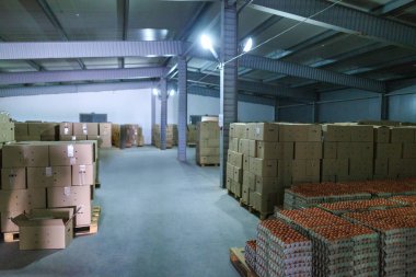 Fabrika Tavuk Yumurtası Üretimi. Bitmiş ürünleri olan kutular