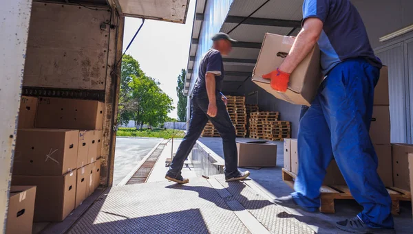 De werknemers laden dozen in de truck met afgewerkte producten. — Stockfoto