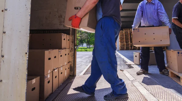 The workers load cartons into the truck with finished products. — Stock Photo, Image